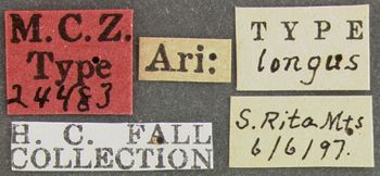 Media type: image;   Entomology 24483 Aspect: labels